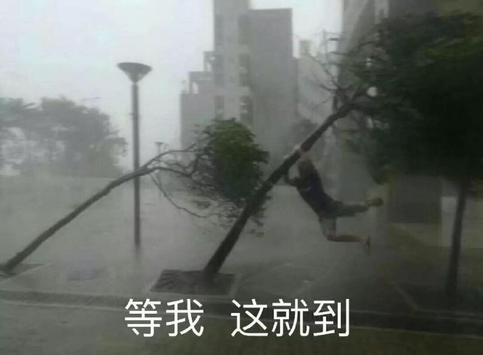 要优雅不要污：走她们的路，让她们无路可走~