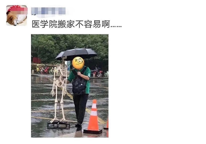 要优雅不要污：走她们的路，让她们无路可走~